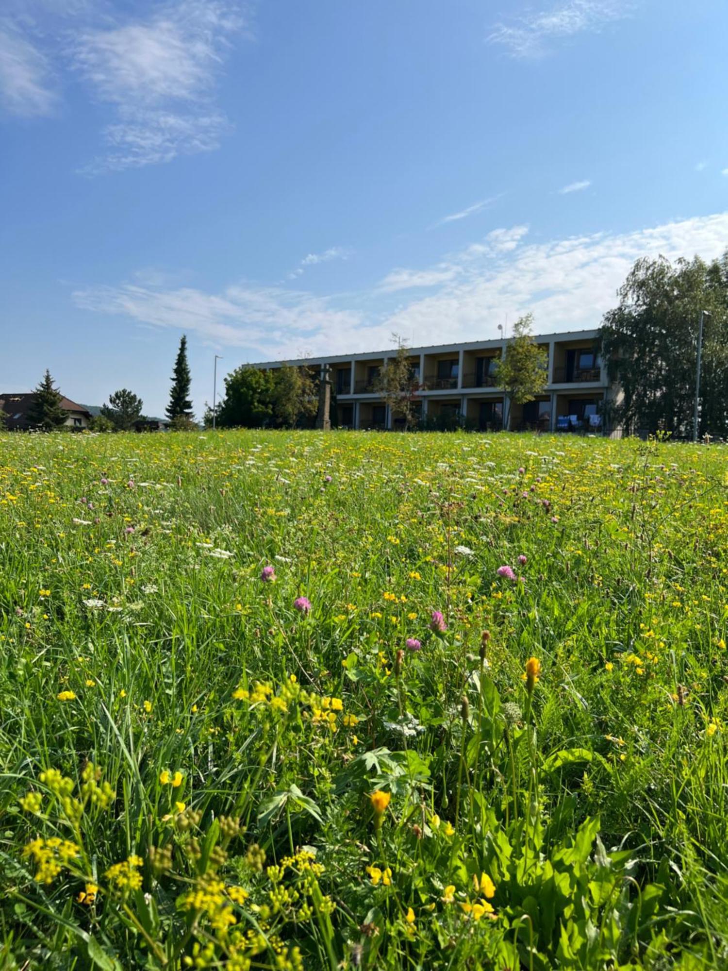 Lazensky A Wellness Hotel Nivamare Luhačovice Esterno foto
